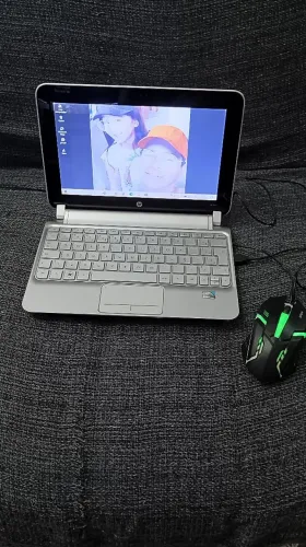 computador netbook funcionando 