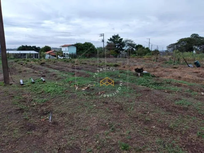 Terreno à venda, 5000 m² por R$ 550.000,00 - Campo Grande - Campinas/SP