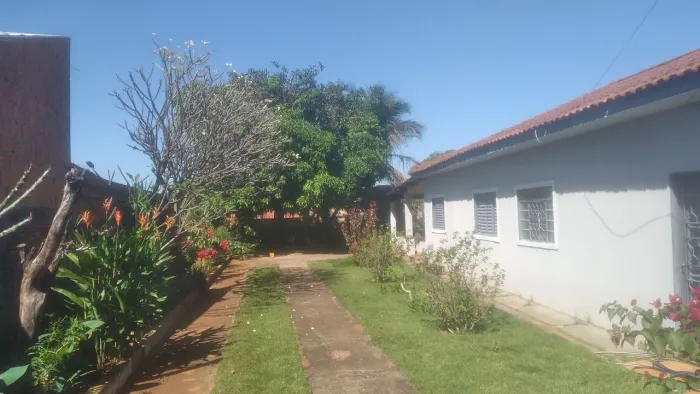 Jardinagem WhatsApp *