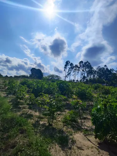 área com 15.000 metros quadrados no centro de Monte Alegre com dois Ascesso ao asfalto