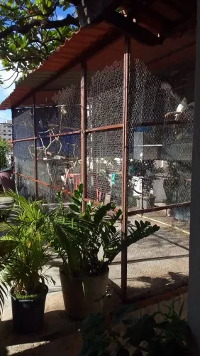 Viveiro de METALON com tela galvanizada 