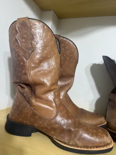 Bota texana 41