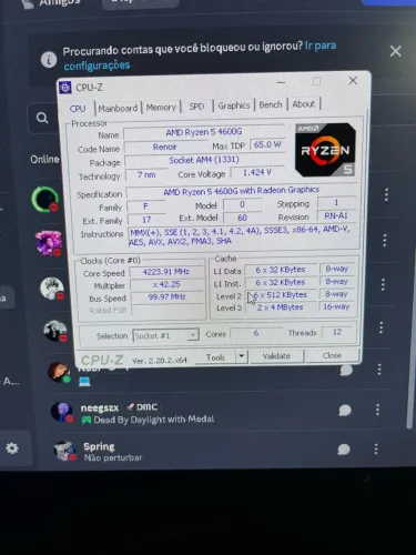 Ryzen 5 4600g