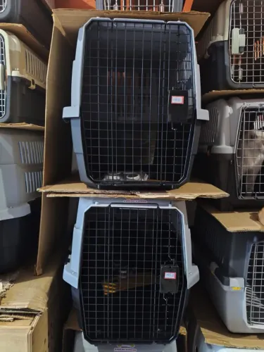 Caixa de transporte pet 