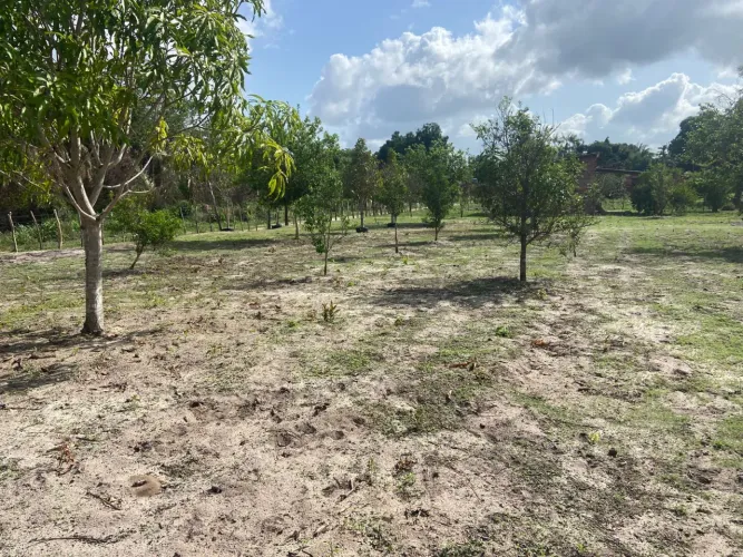TERRENO 40X52