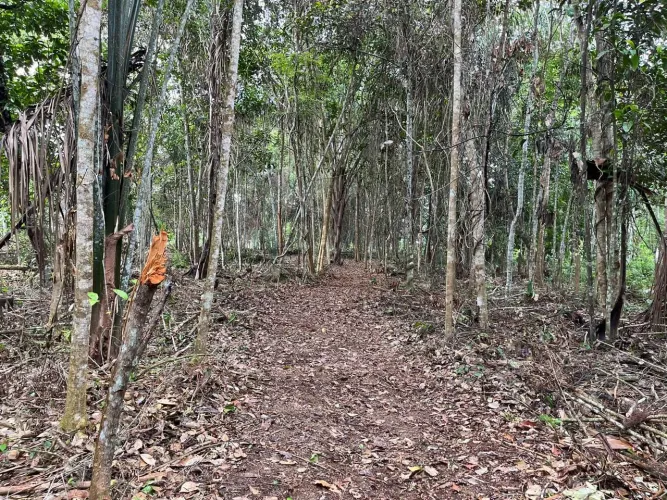 Vendo terreno na Br 174 km 15 (30x94)