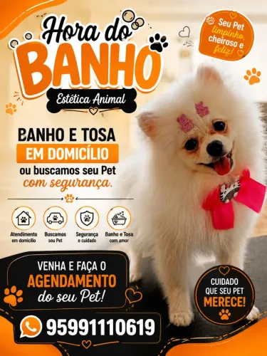 Banho e tosa em domicílio ou buscamos seu Pet com segurança