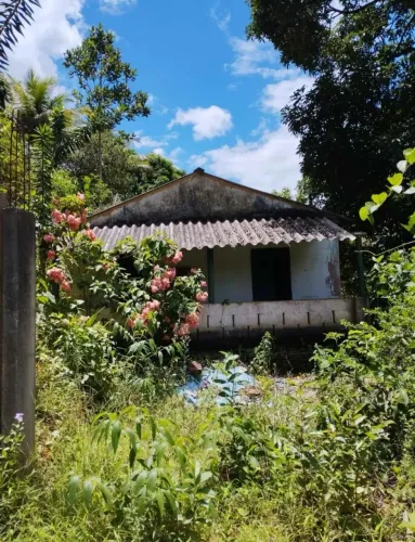 TERRENO COM CASA