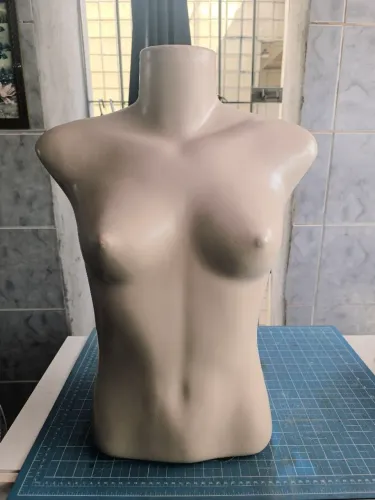 Bustos femininos