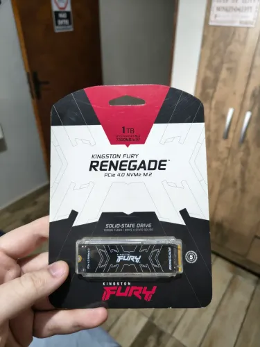 SSD NVME M2 Kingston Fury Renegade (1TB)