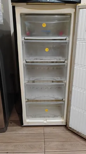 Freezer vertical