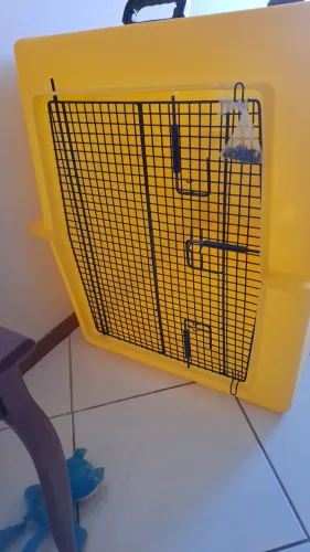 Caixa transporte Cães