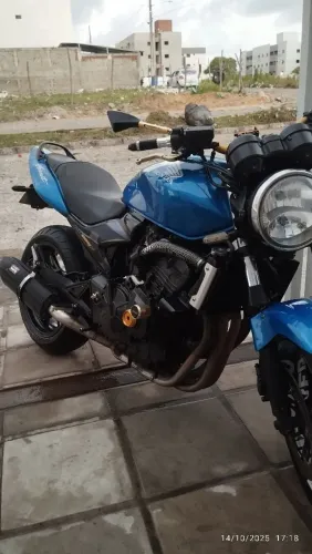 Hornet 600