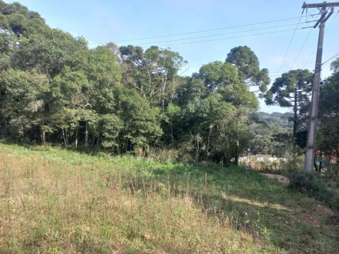 Vendo ou troco chacara em mandirituba 