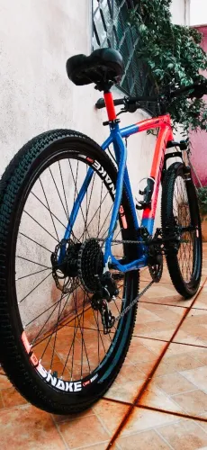 Bike Aro 29