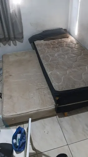 Bi cama