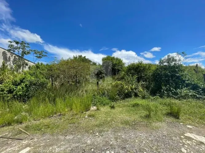 Barra Mansa - Boa Vista 1 - Terreno Comércial - 774,21 M²