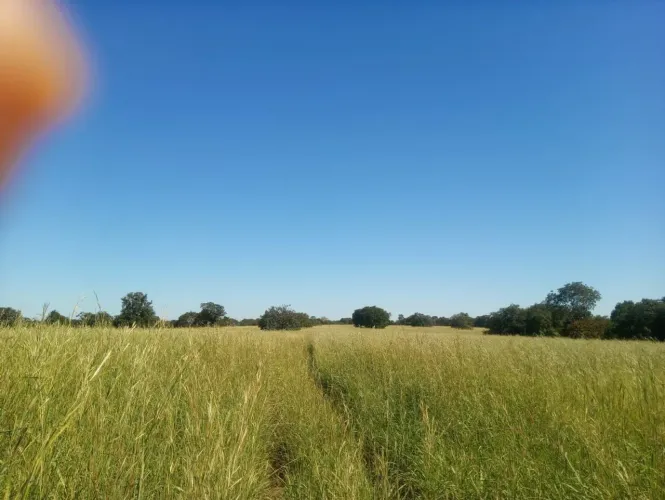Fazenda 386 alq. Em Araguapaz Go. Toda formada 57.900.000