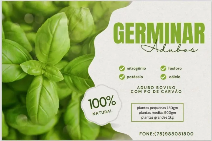 Adubo natural com pó de carvão
