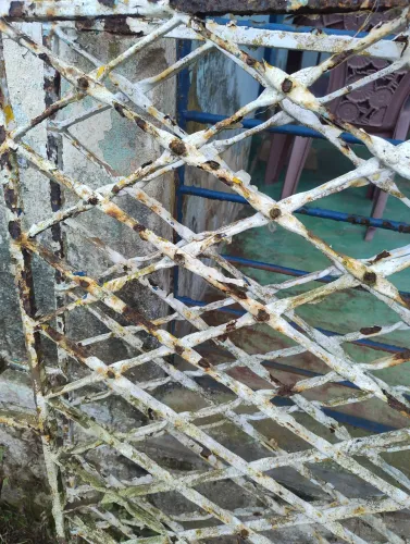 Grade desenhada antiga aranha 