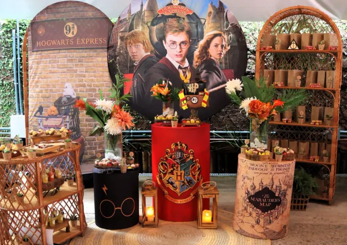 Festa Harry Potter 