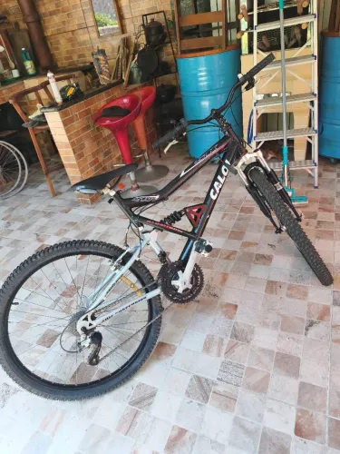 Bicicleta 