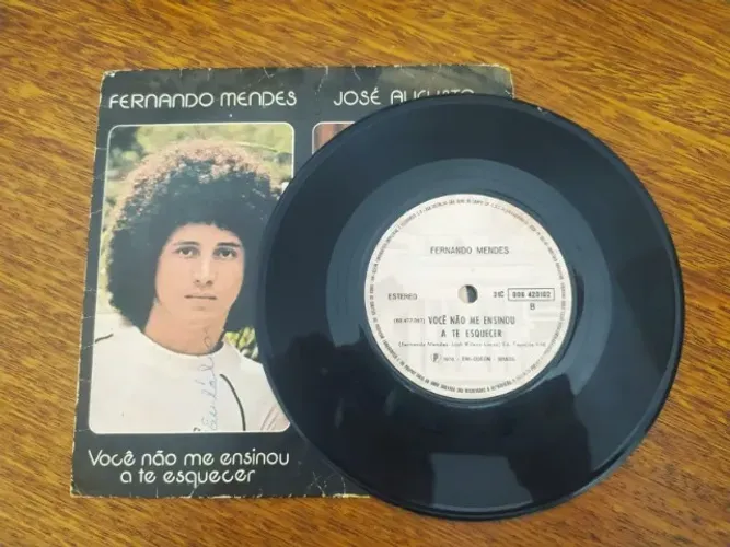 Disco De Vinil Você Não Me Ensinou A Te Esquecer