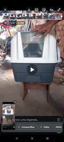 Mictório de gato 