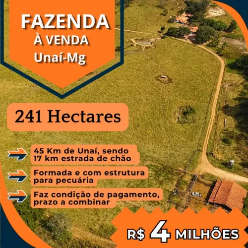 Fazenda com 241 hectares à venda em Unaí