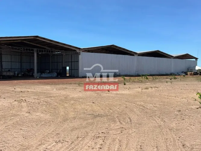 Fazenda Agrícola no Oeste do Piauí 6.505 Hectares