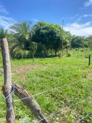 Vendo terreno em Saubara/BA 240m²