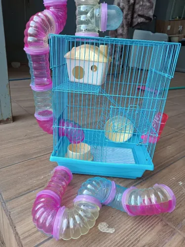 Gaiola e terrário para hamster 
