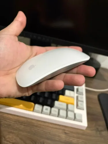 Apple Magic Mouse 2