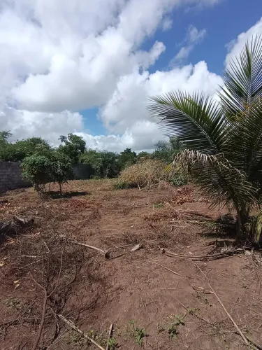 TERRENO À VENDA NO BAIRRO PAPAGAIO!