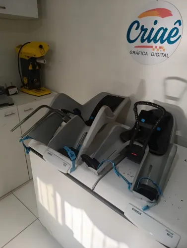 Vendo Combo Cadeirinhas de Bike Thule RideAlong (Traseira + Dianteira) - Pouco Uso