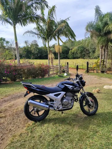 Cbx Twister 250