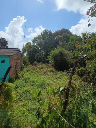 Terreno em Amélia Rodrigues