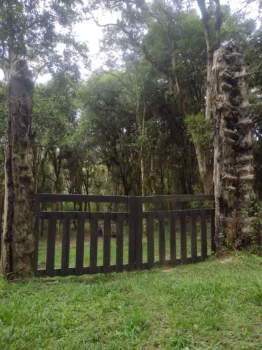Chácara em Mandirituba 