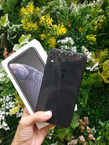 iPhone XR 