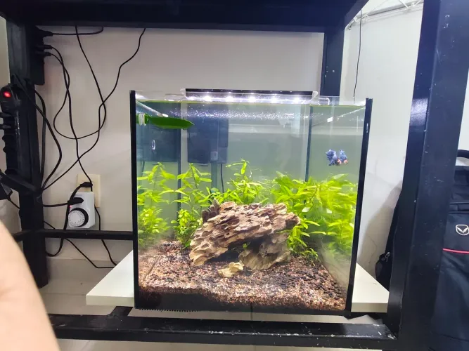 Aquário 42 litros