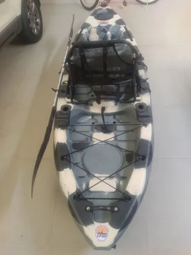 Caique caiman 100