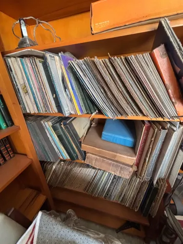 Discos de Vinil( coleção)