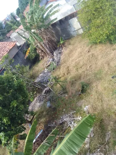 Vendo 