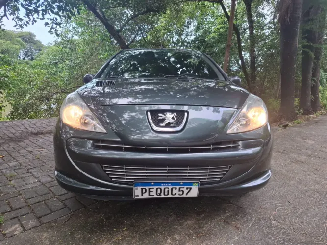 Peugeot 207 XR 1.4 Flex 8V 3P 2012