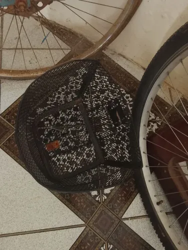 Cesta Bike