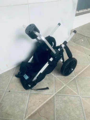 Cadeira  de rodas pet 