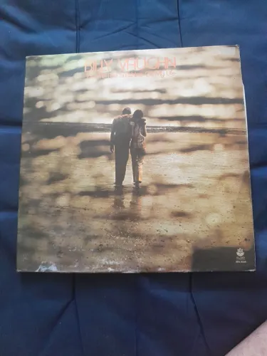Disco De Vinil Lp Billy Vaughn - You Are The Sunshine Of My Life (1973