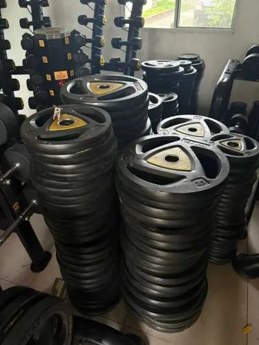 Anilhas ziva PU