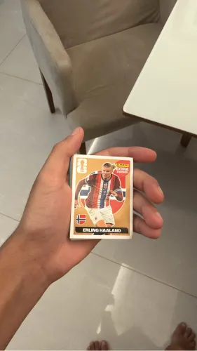 Vende-se halland 2026 bronze novinho 