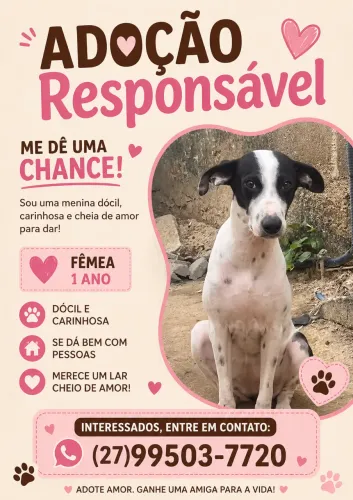 Doação 
